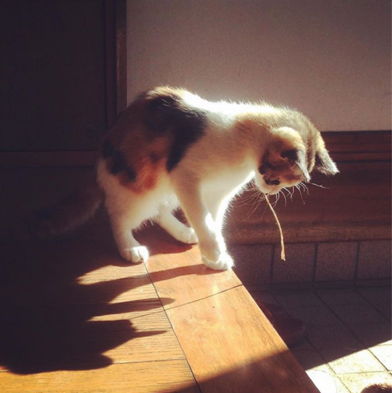 Minnieのおきもち