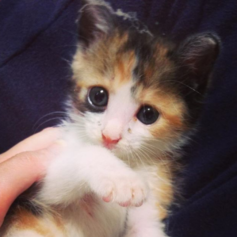 サー六が教えてくれたこと①