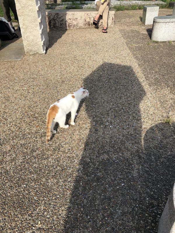 有栖川帝統くんの話