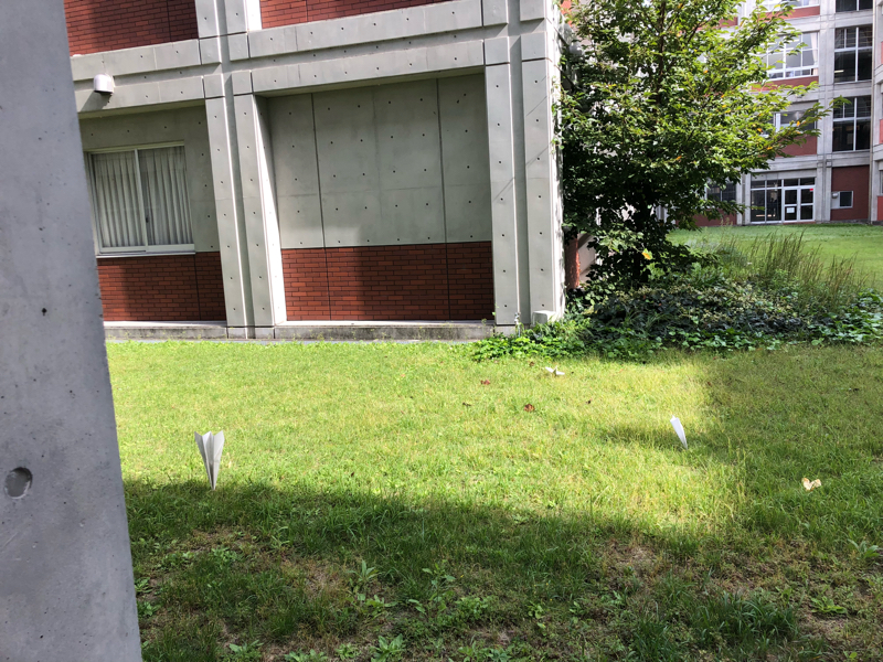 きんきょーほーこく