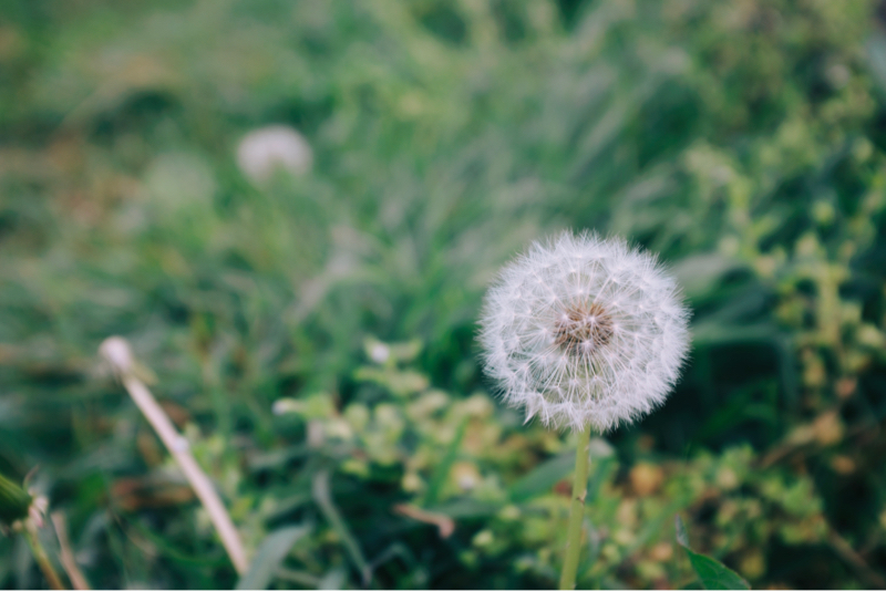 運が良くなりたい方への話し