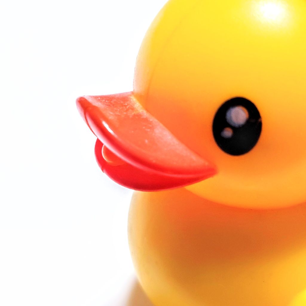 超短：またまたタイトルを変えました報告