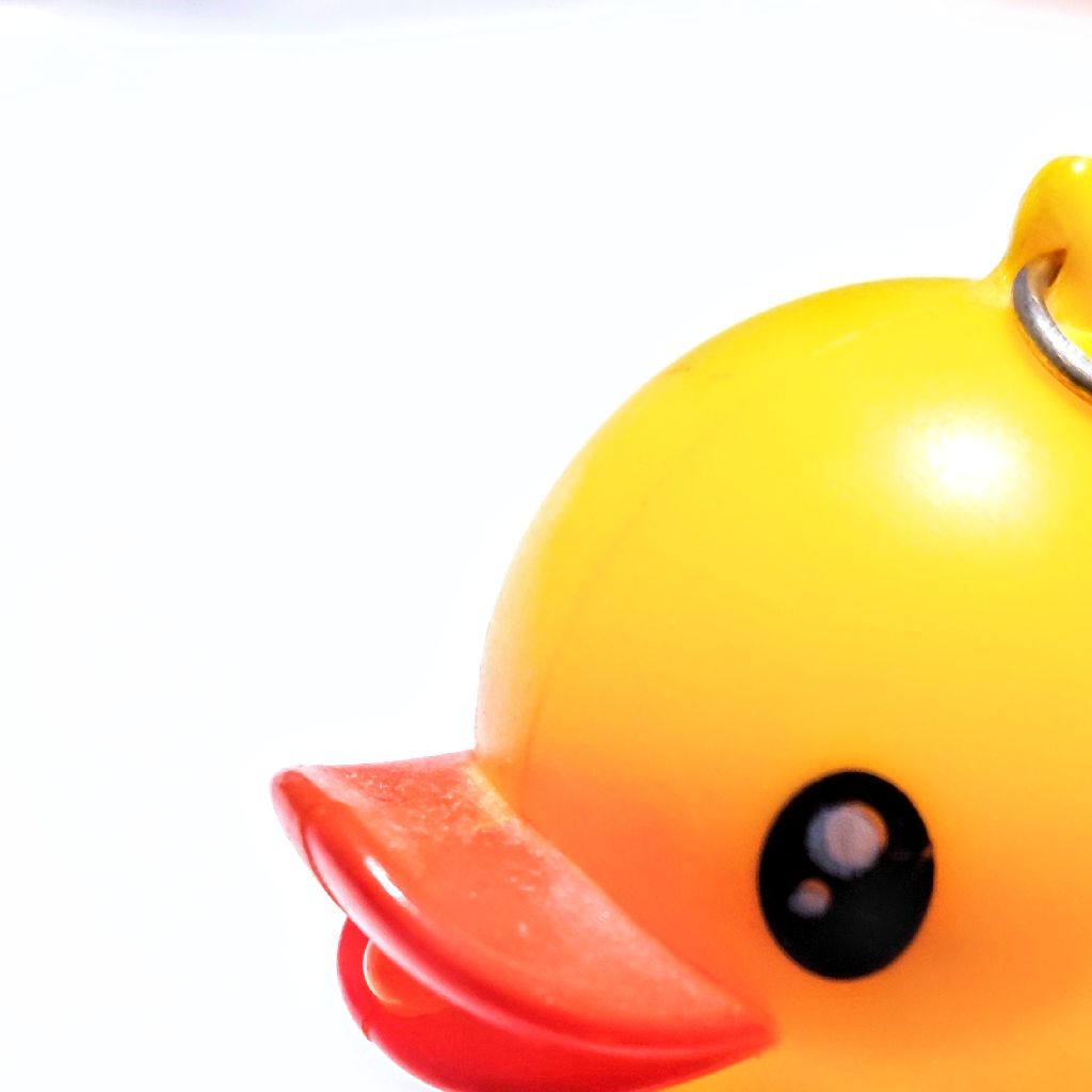 ３歩歩いて忘れてしまった寝起きゆめ日記260210