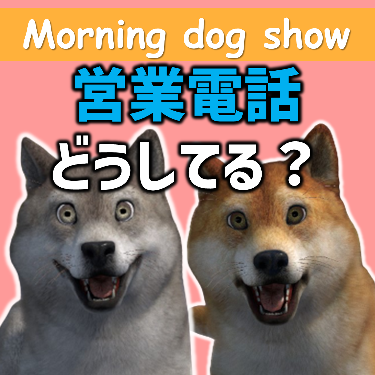 営業電話を受けたとき、するときどう？