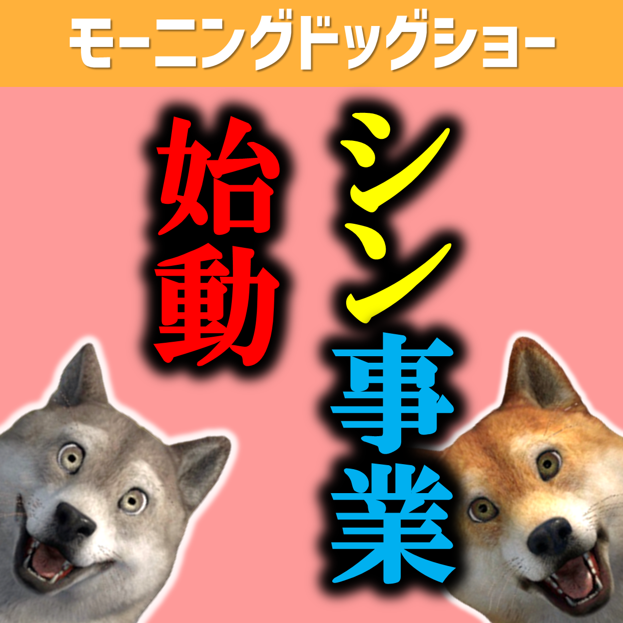 新規事業を開始いたします。