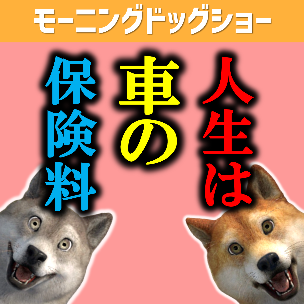 人生とは車の保険料である｜運転は運動神経