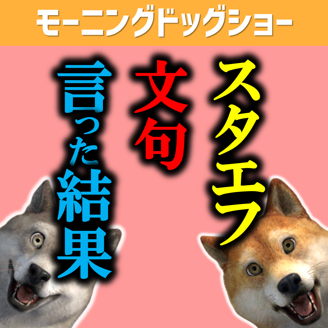 スタエフに文句を言った結果をご報告させていただきます