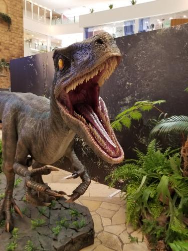 黒バスの福利厚生の話