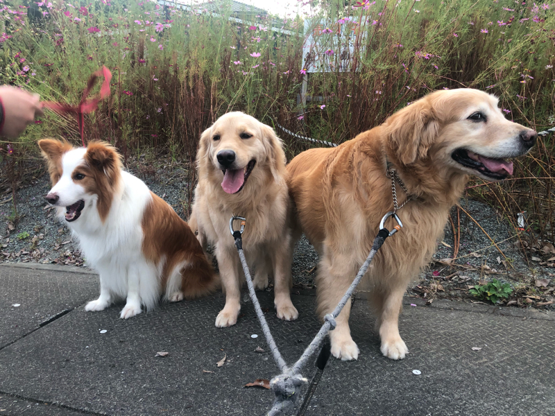 #26 夕焼け小焼けのカフェトーク