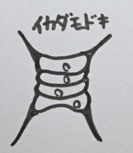 「あちらこちらぼくら」をおすすめしたい