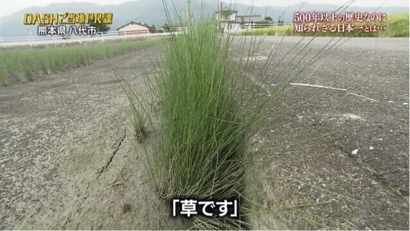 無気力女ラジオ