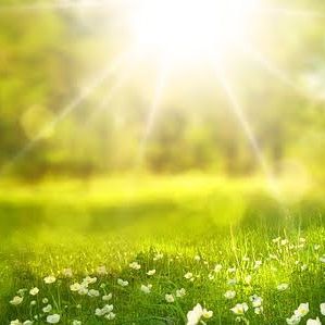 3️⃣8️⃣
ordinary days🍀miletちゃんの祈り✨日常の日々✨