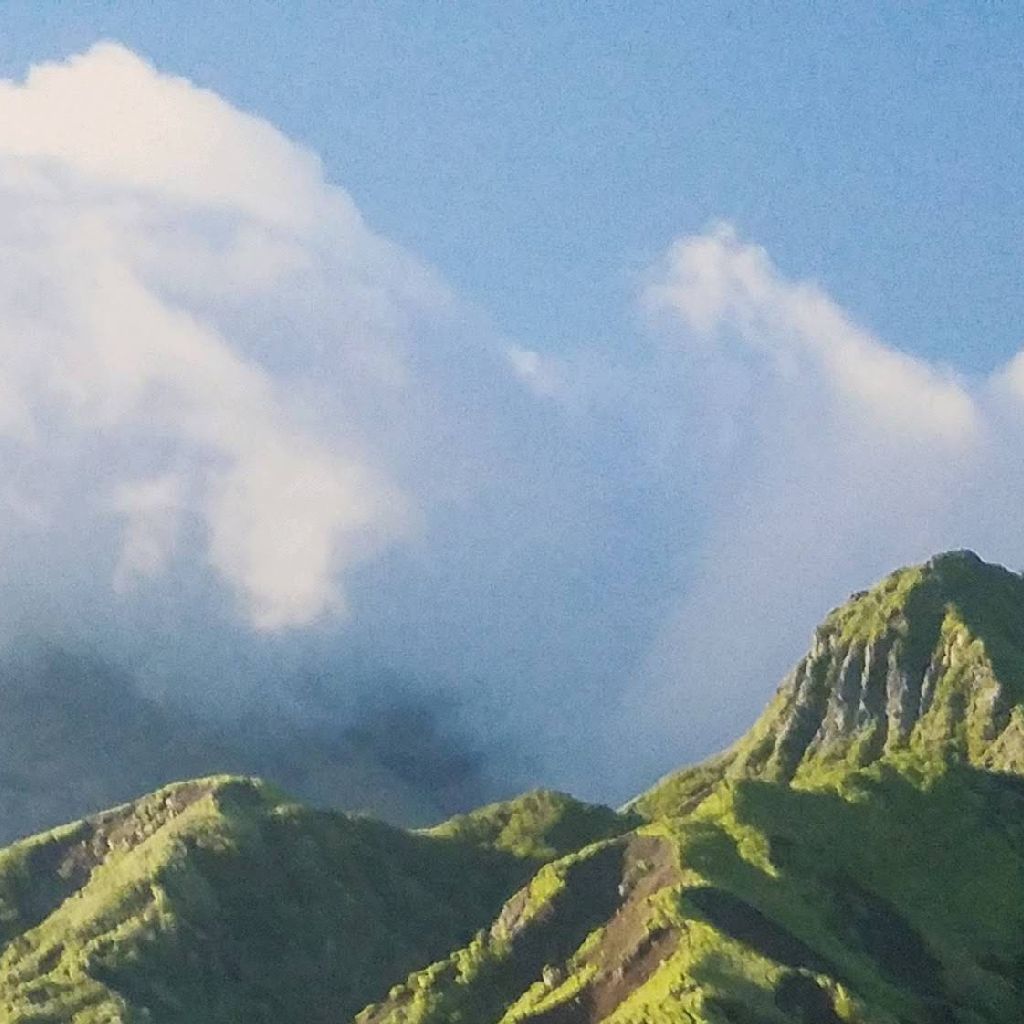 7️⃣4️⃣  八十八回突破記念🎉🌾🌾浪漫飛行｡・:＋°