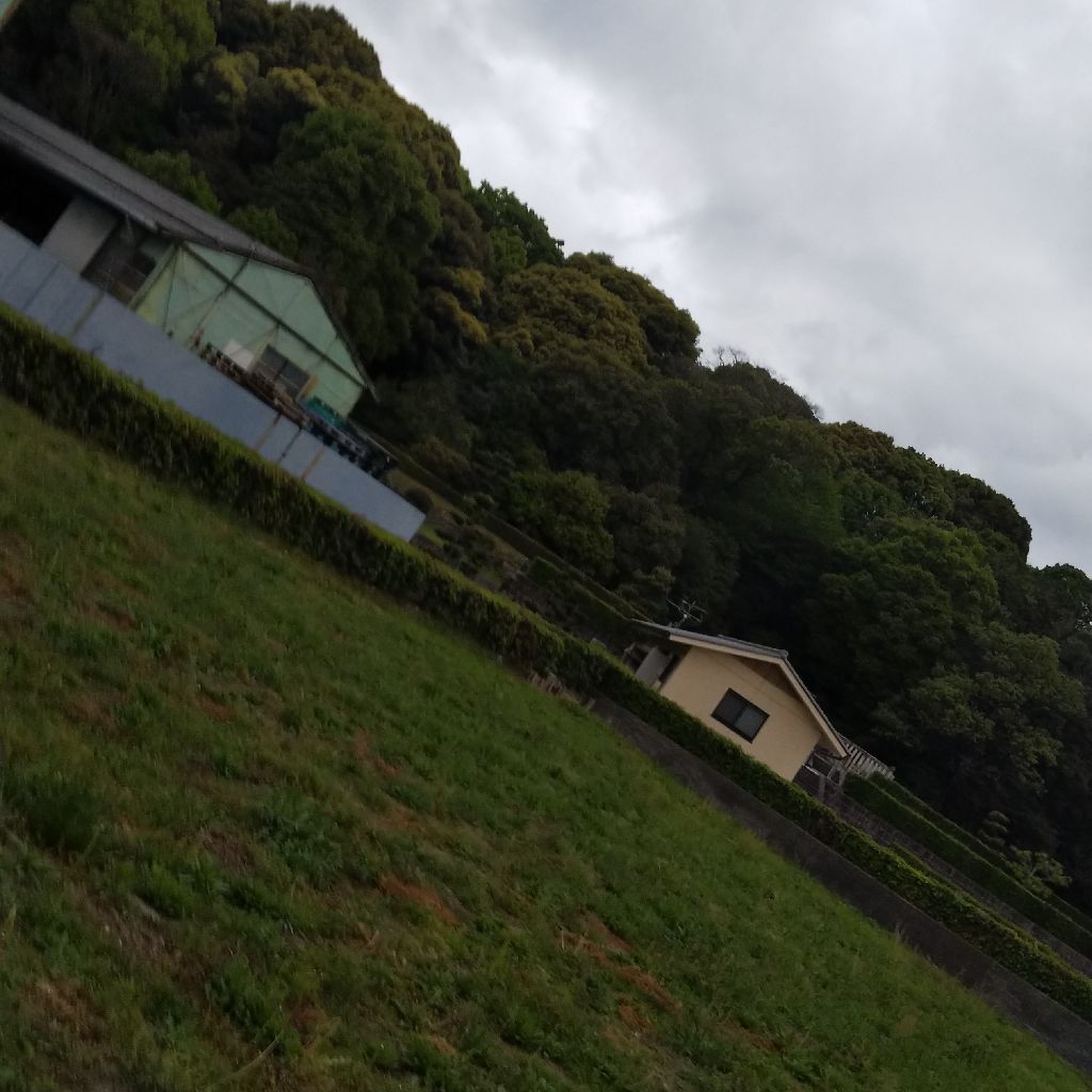 珍しい理由で高校停学なった福西 from Radiotalk episode artwork