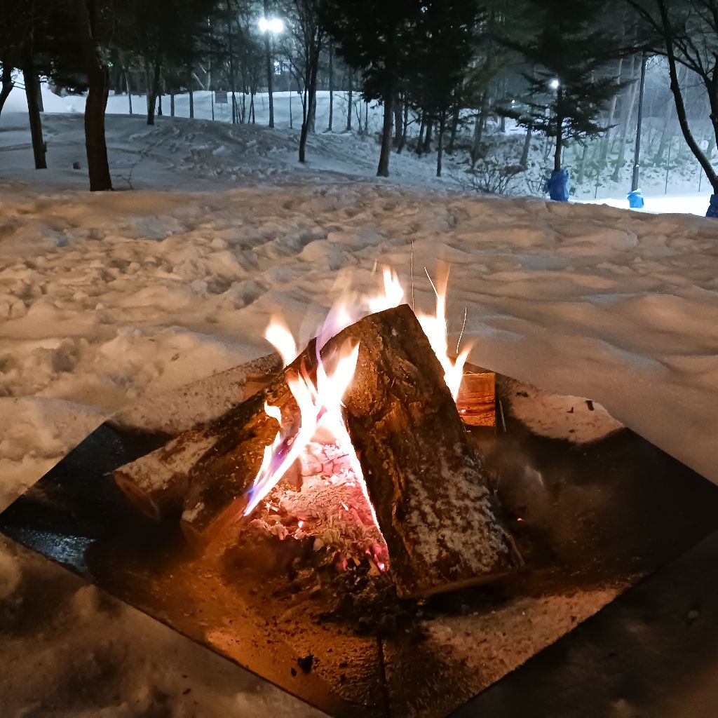 衆議院議員総選挙反省会