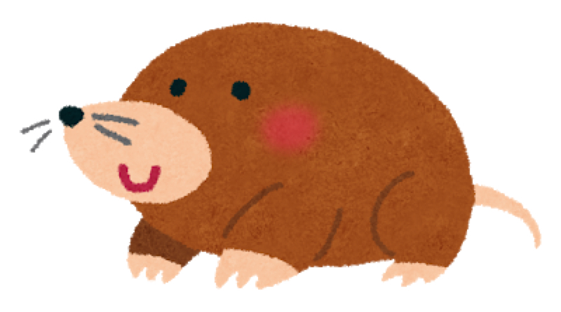 #9 墓里土竜さんで気が狂ってしまった人間の声