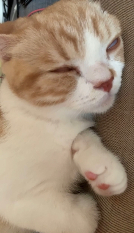 スズキさん