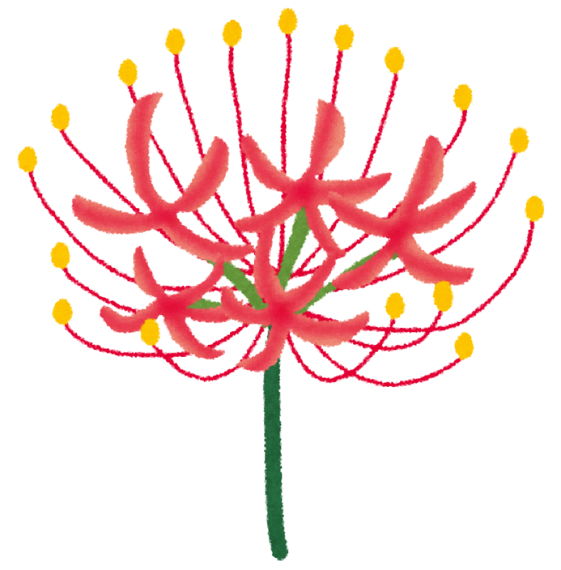 勝手にわたあめプロナイト mini 後編