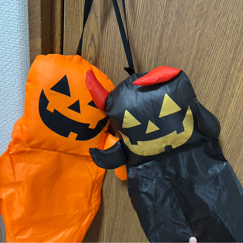 47.久しぶりの更新、娘保育園入園しました。