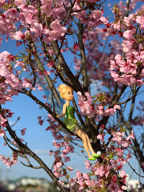 はじめましてのドキドキ配信