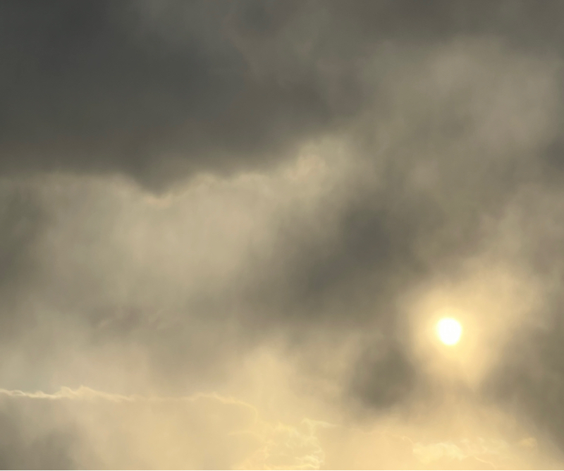 #91 たまご購入！寒かったの巻