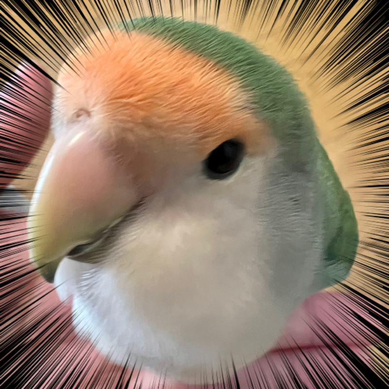 🌝みかえる🌝