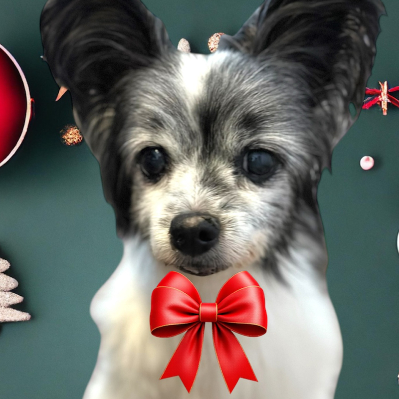 こんた🌀普通の埼玉県民