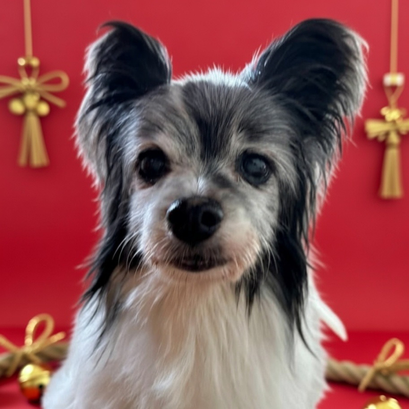 こんた🥦普通の埼玉県民