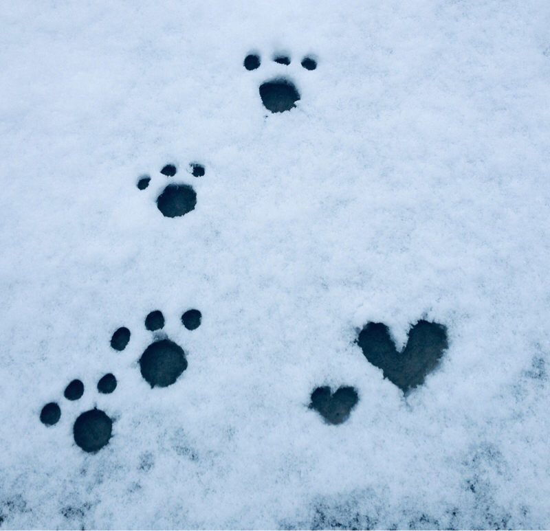 アンテ実況（その1）