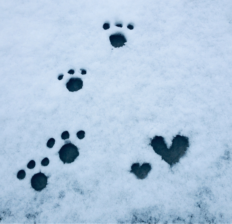 アンテ実況（その5）