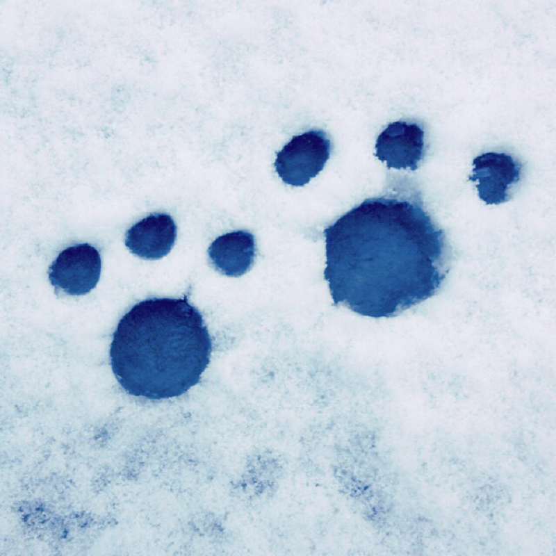 アンテ実況シーズン2（その3）