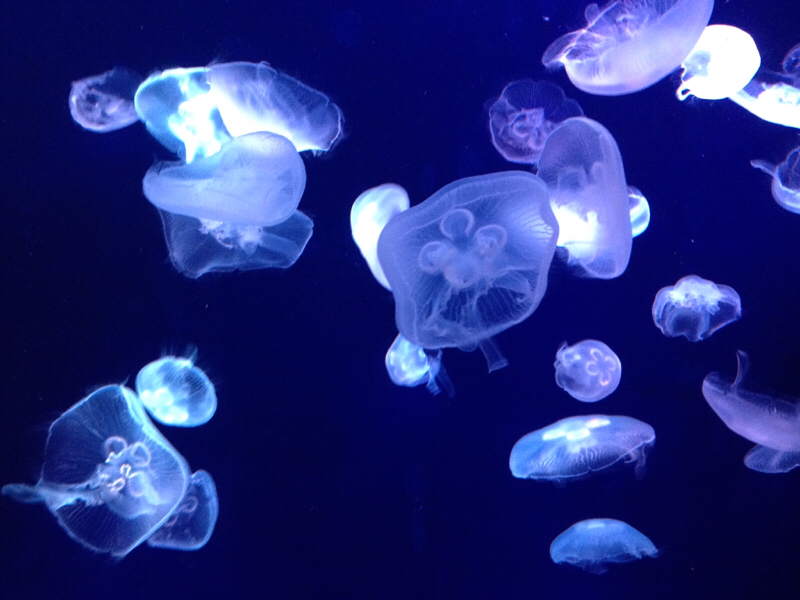 デルルン実況2期（その1）