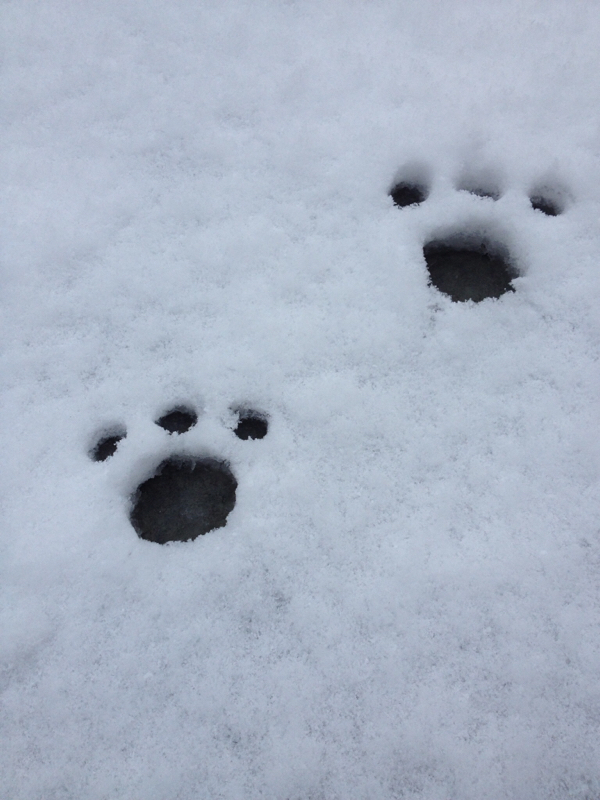 アンテ実況シーズン2（その12）