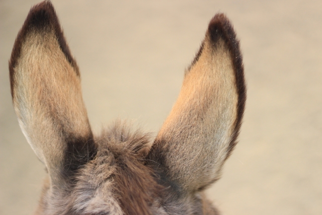 #41 【雑談回】結婚ってなんだろな？とりあえず私、他人に興味無さすぎなんやわ！