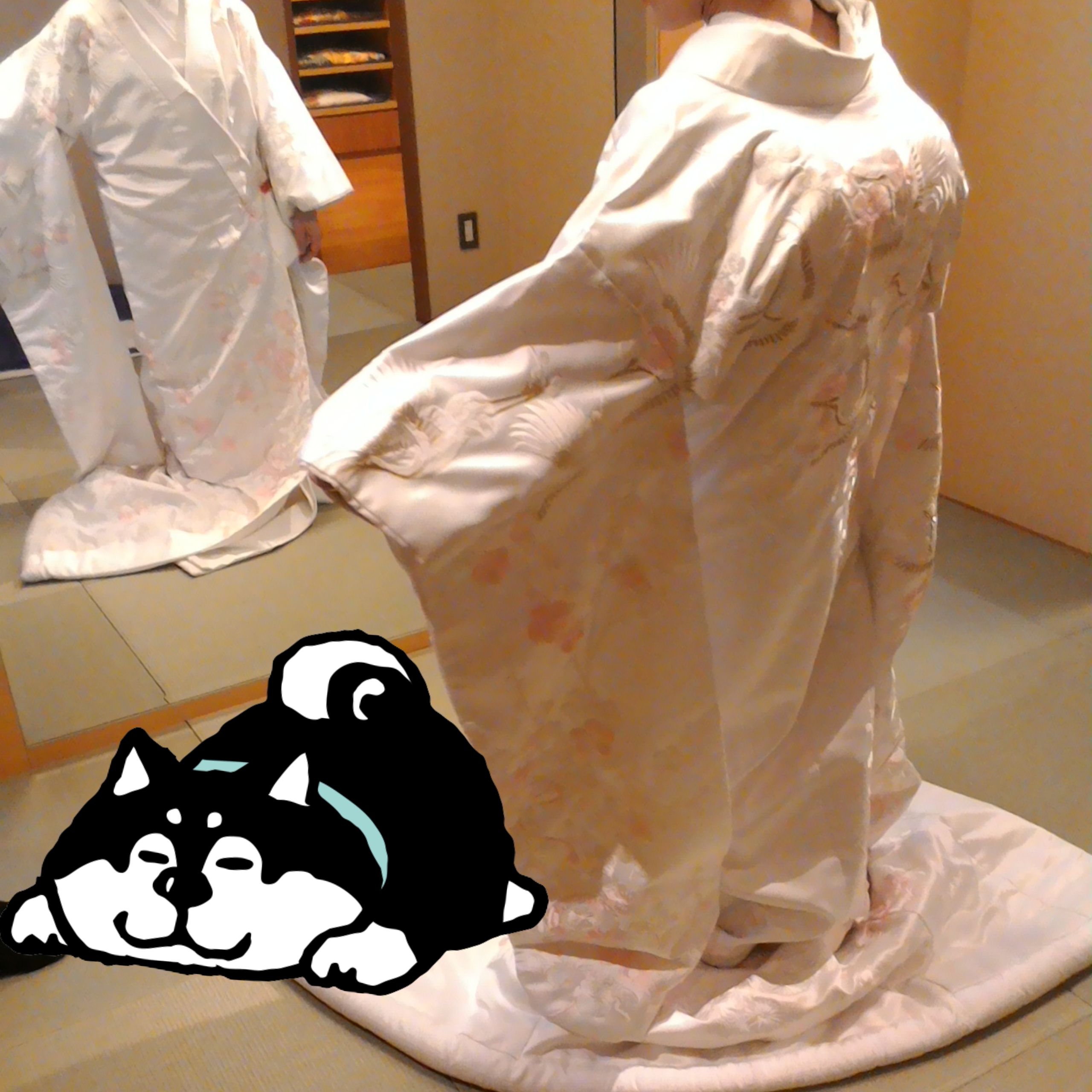 #46 結婚式衣裳合わせ同行。これからは小さな幸せ報告していこ！