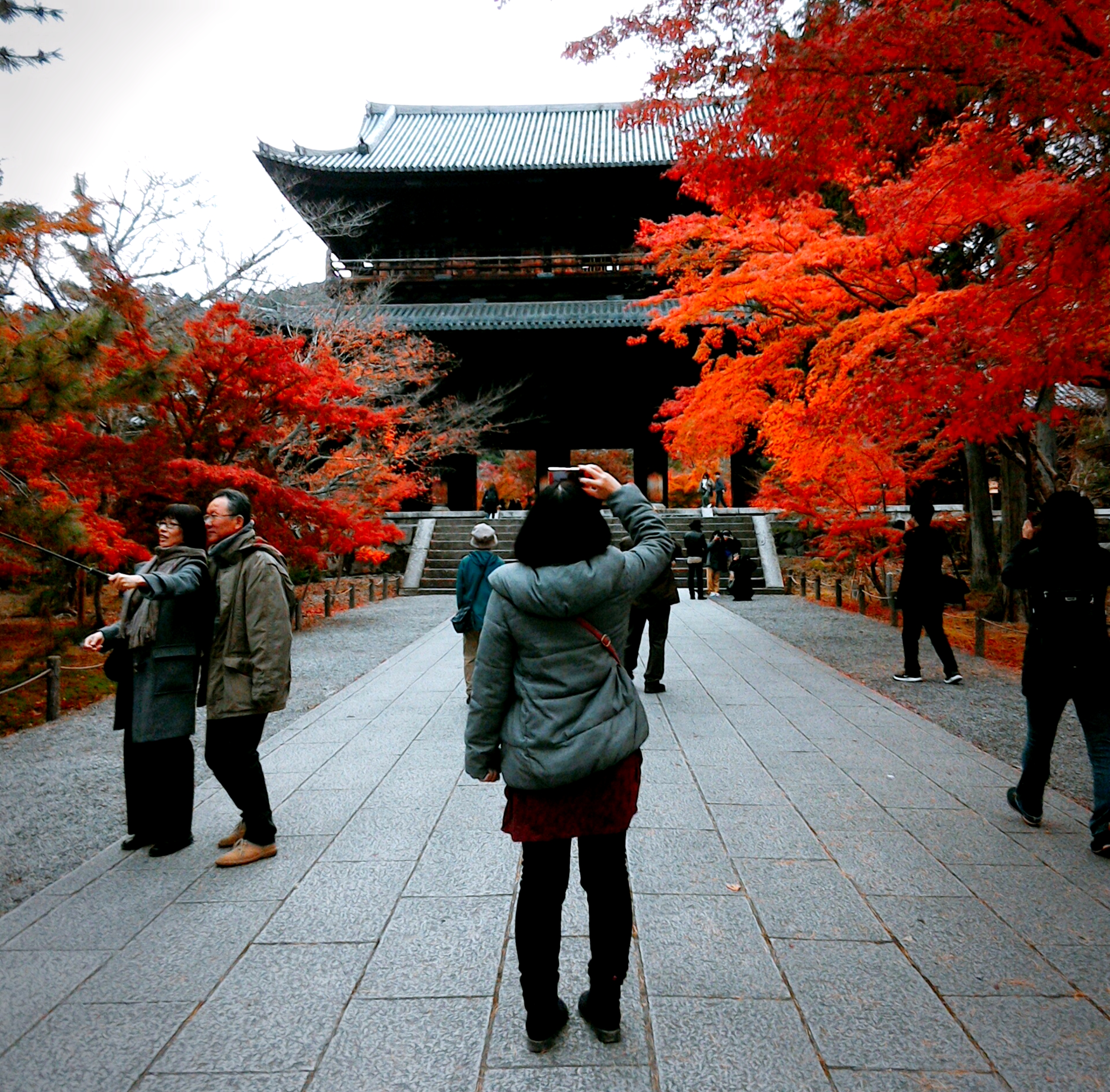 #11 朝散歩、紅葉の南禅寺