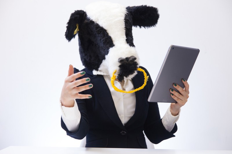 #24 就活ってどうしたらいいかわかんないよね