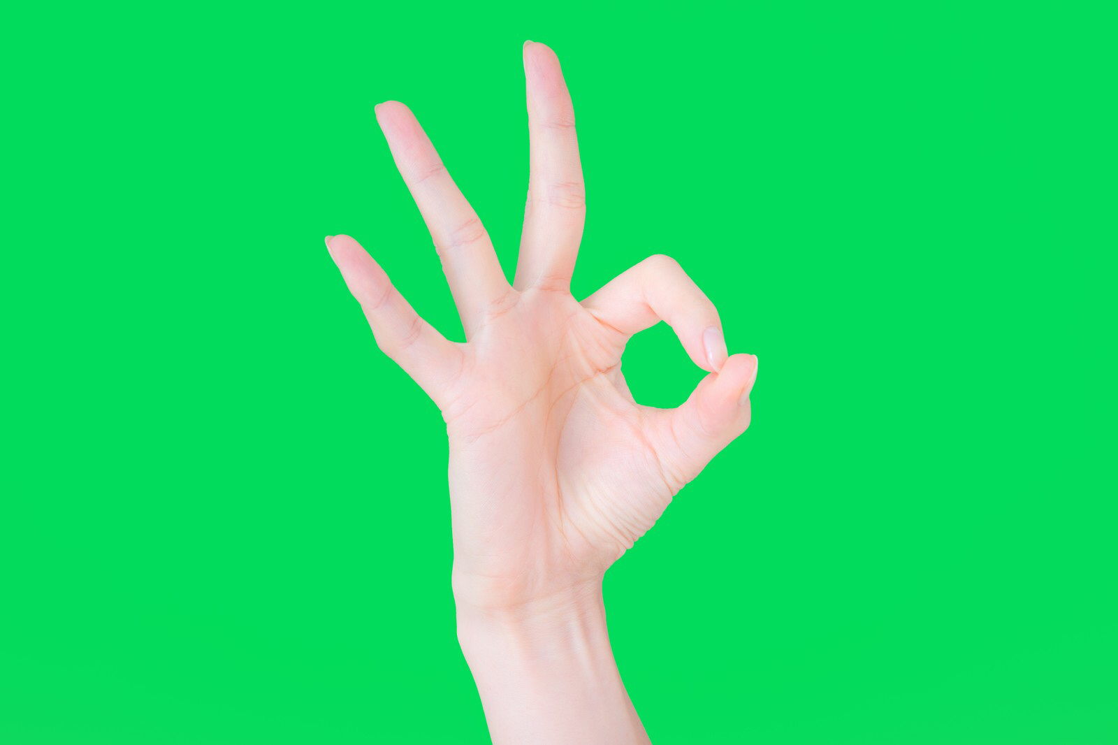 今日見た夢の話を聞いてくれ