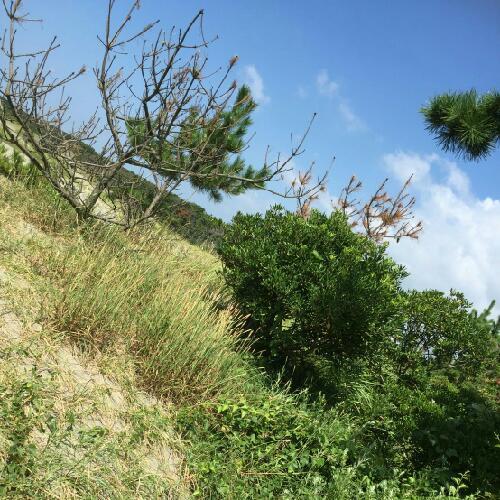 第6回  「いい夢をみたい。続編」