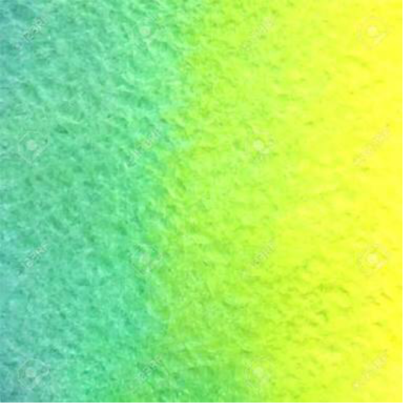 黄色と緑といろいろ⑤