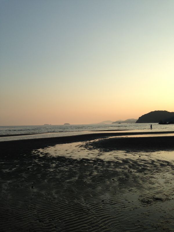 オタクの無雑談