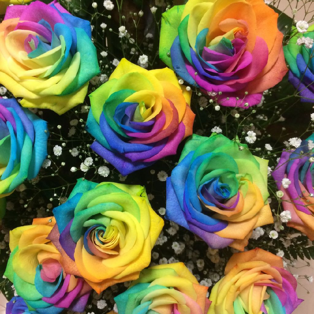 債務整理　その三