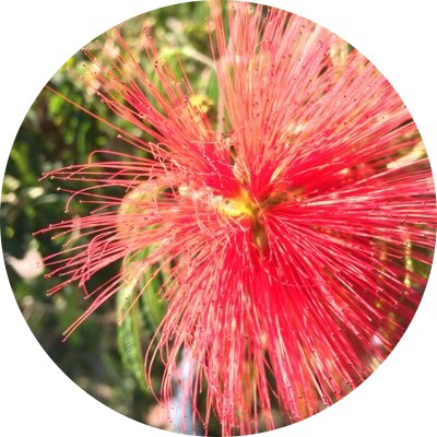 一二三と独歩と女性恐怖症に関してその3