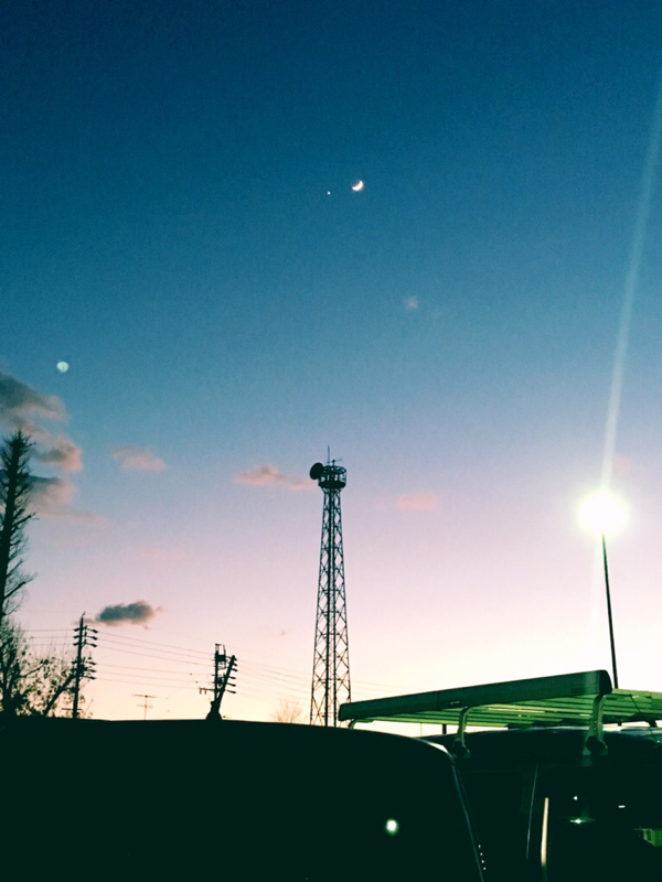 Before マリーゴールド