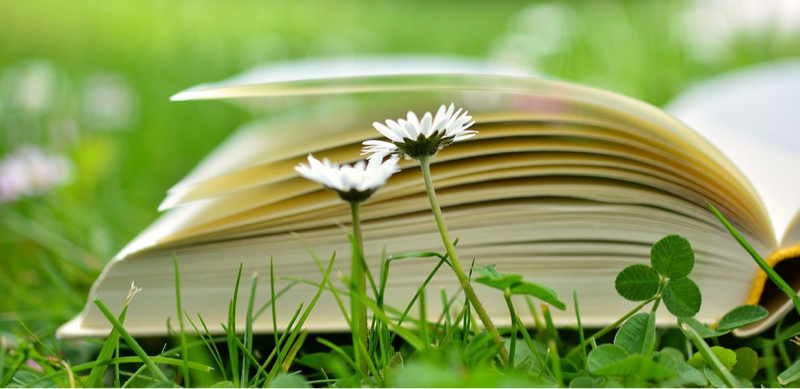 まいにちのこと