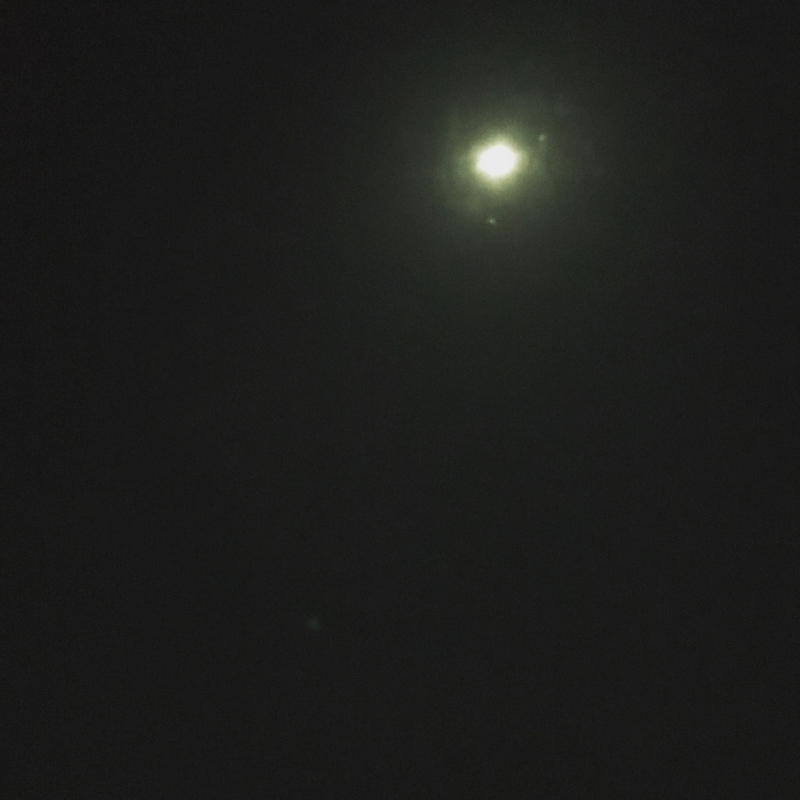 いとむらじお【第1回】