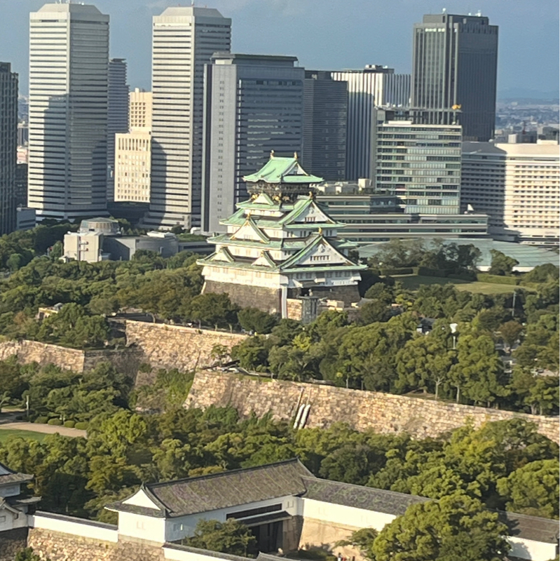 超速バギーからのお知らせ
