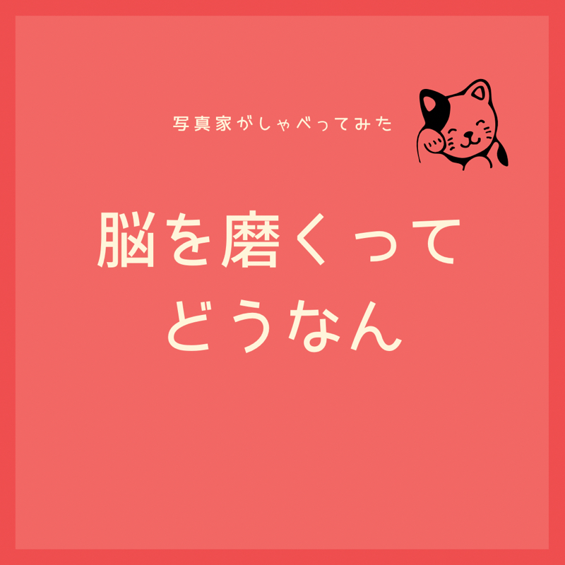 脳を磨くってどうなん