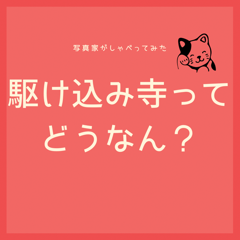 ねこのぐるぐる音（10秒）と、心の支えだった駆け込み寺の話