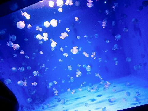 フォロワーに一言のやつ